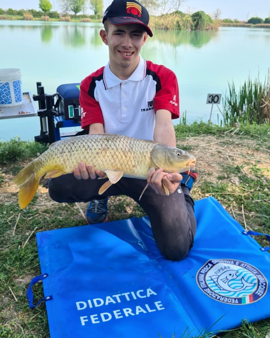 278617962 4811140302346873 4147062721090423771 n