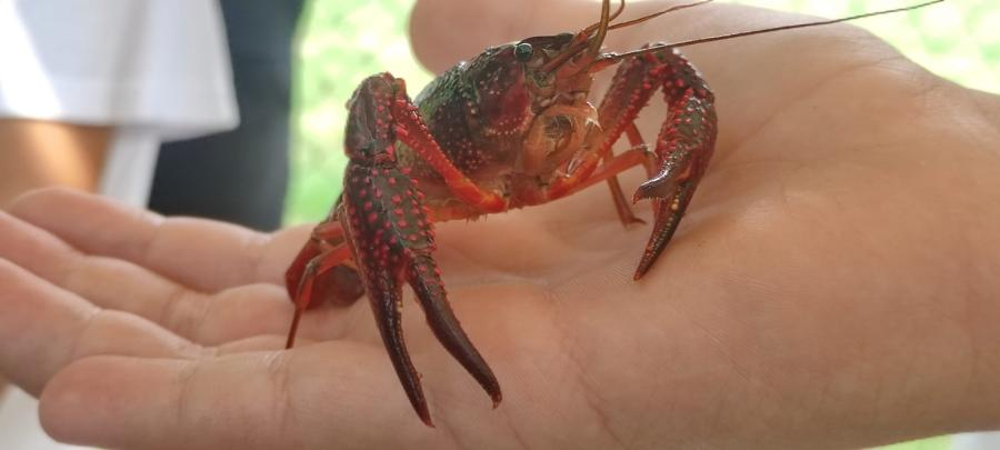 305816097 10225436744858978 6730256955943045333 n