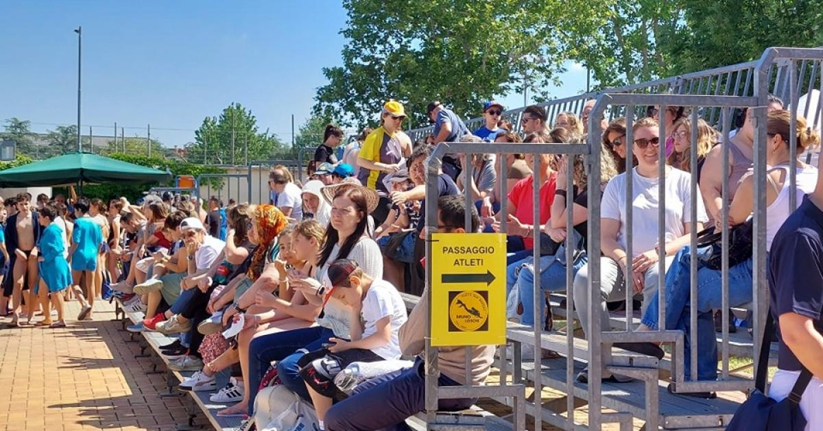 441910557 1231093284621217 7810421909013784123 n