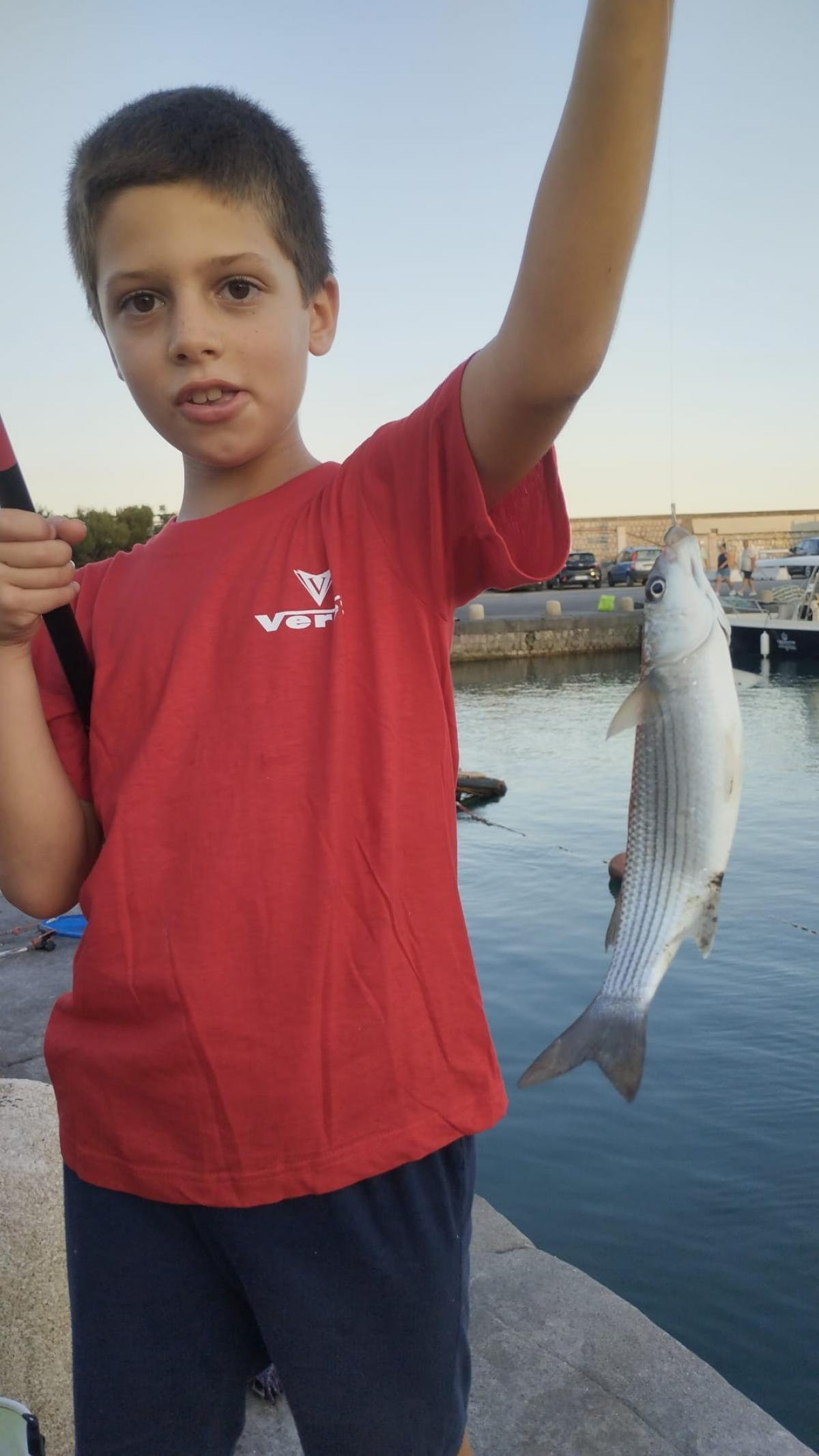 520135253 1252315993352763 556025479194795014 n