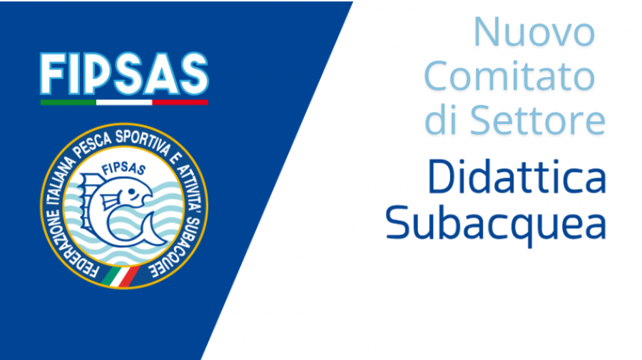 images/documenti/didattica_subacquea/NUOVO_COMITATO_DS/medium/Comitato_di_Settore.png