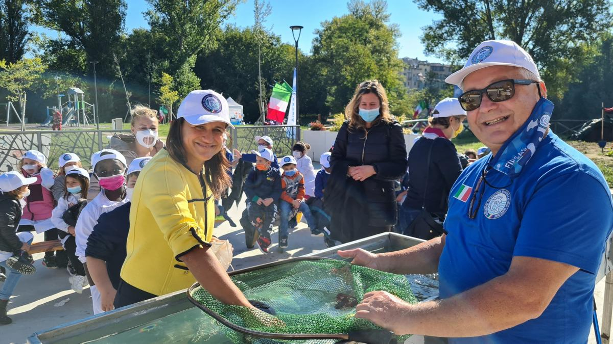 246829080 4234965566631019 3467326117216710268 n