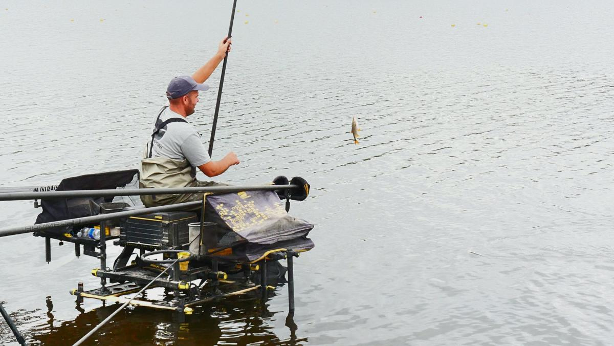 524115965 1145746540919353 5926793525171318683 n