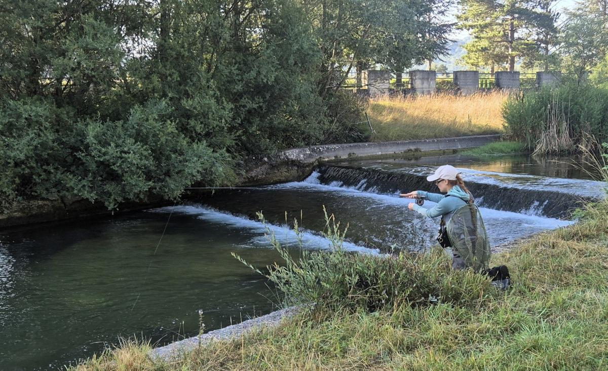 520462489 10238160003366926 2855145298064197168 n