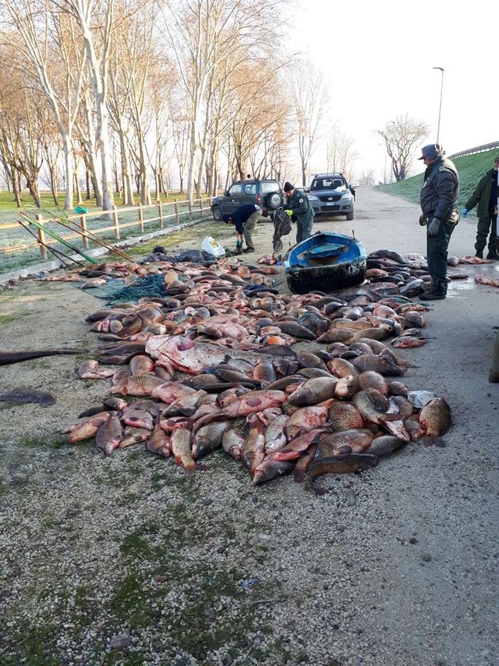 19260275 1576178232466331 3213022291187216978 n