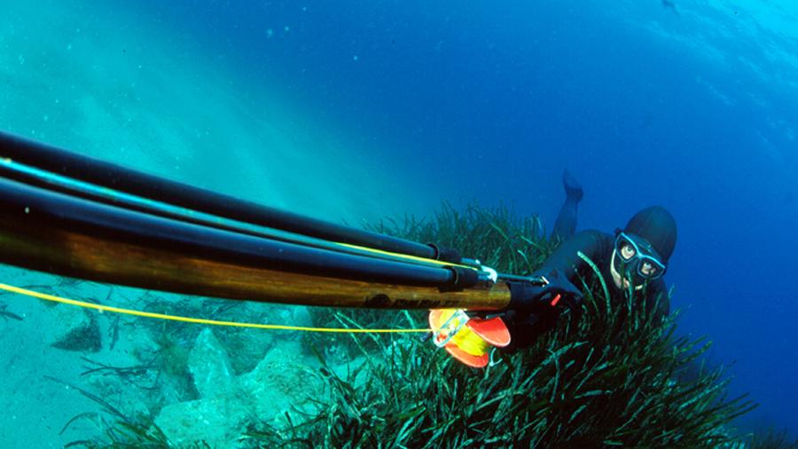 images/images/attivitasubacquee_nuotopinnato/Pesca_in_apnea/medium/pescainapnea_900x506.jpg