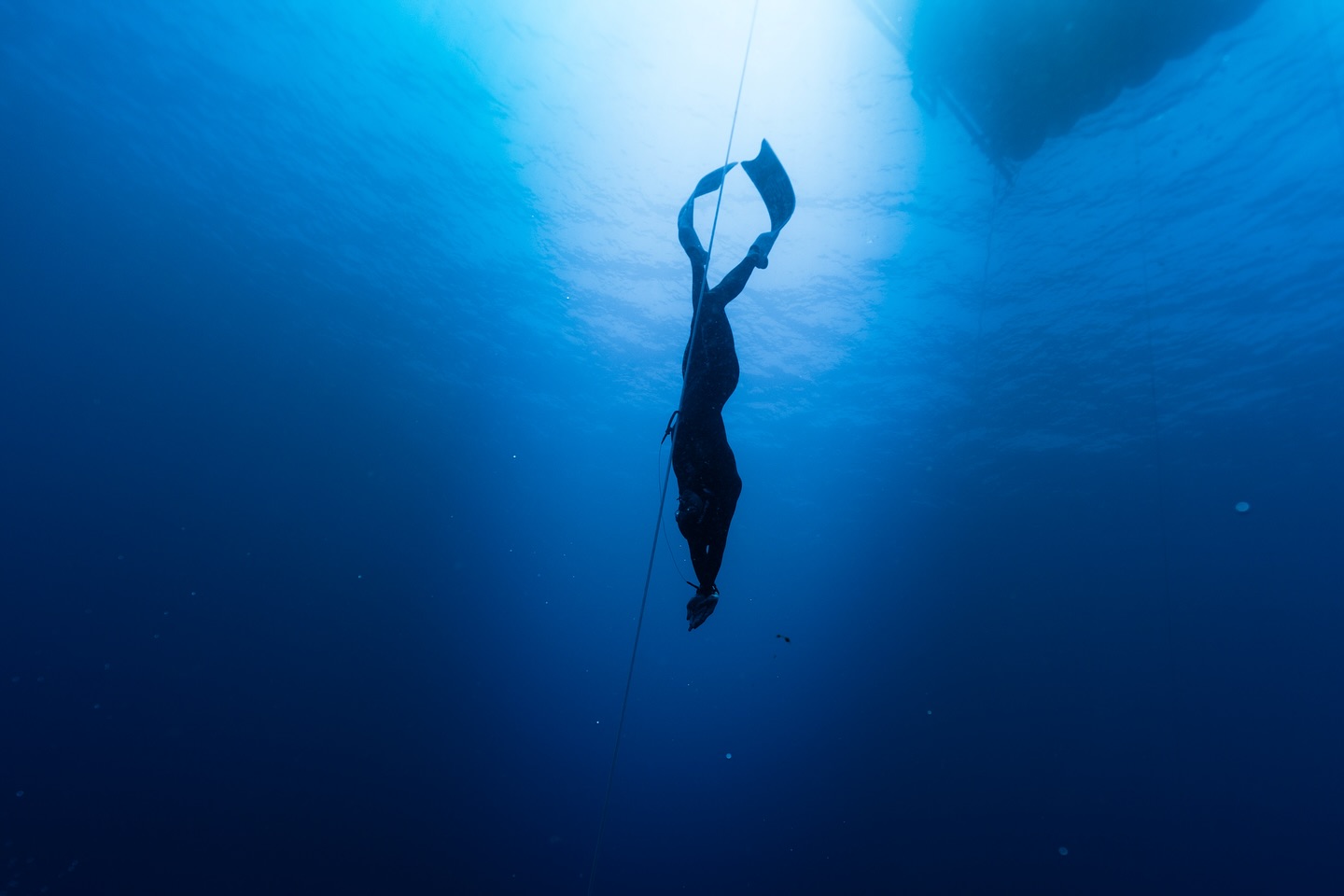 497872493 18497713084057187 7006783525890126431 n