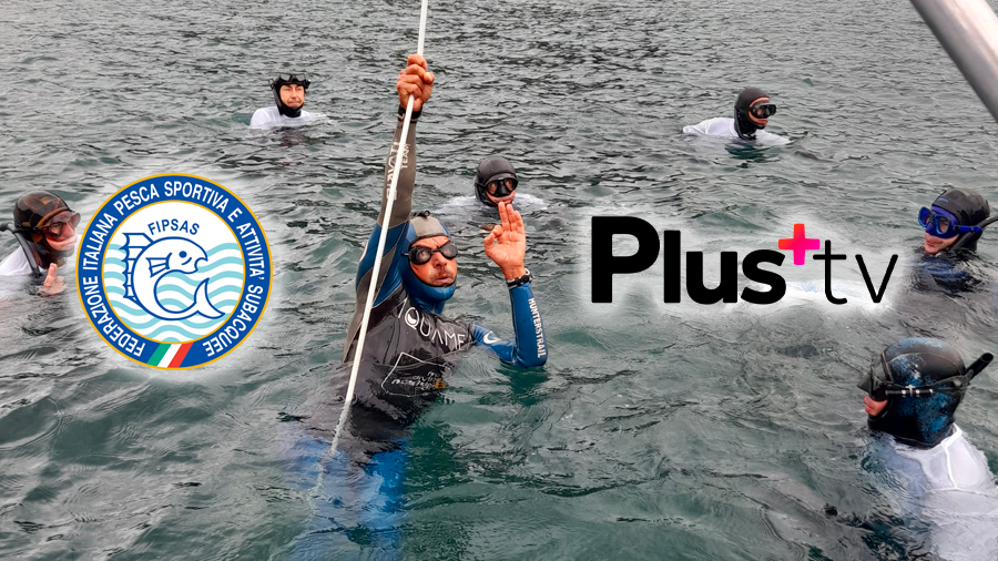 images/images/attivitasubacquee_nuotopinnato/apnea/medium/fipsas_plutv_carrera.png