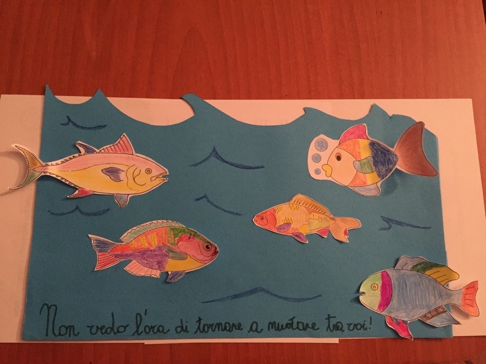 109734127 2927301587397430 2471326250419222250 n