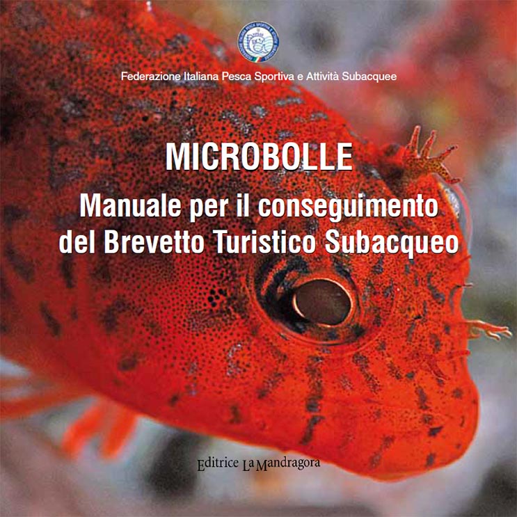 copertina microbolle