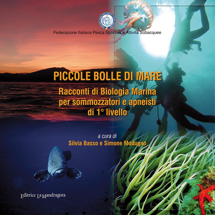 copertina piccole bolle 1