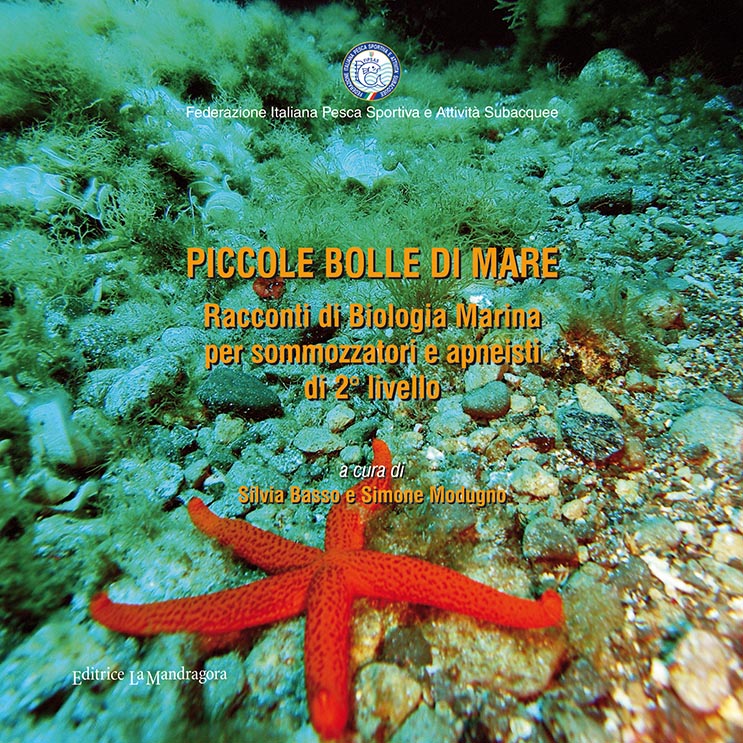 copertina piccole bolle 2