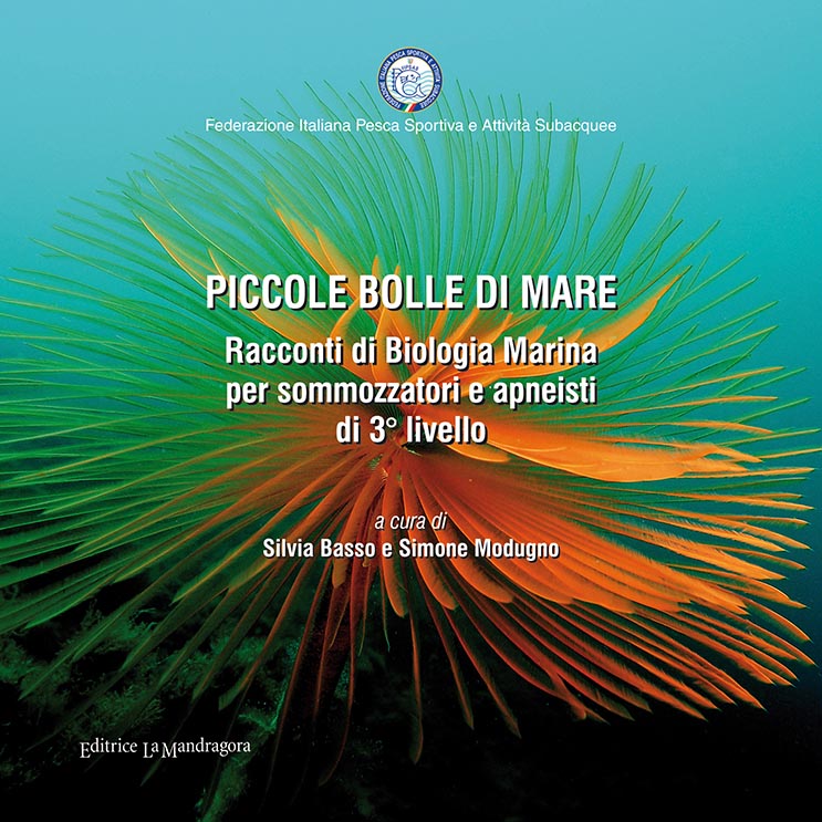 copertina piccole bolle 3