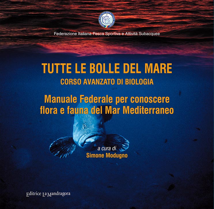 copertina tutte le bolle avanzato